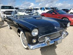 Salvage cars for sale at Fort Pierce, FL auction: 1955 Ford Thunderbird