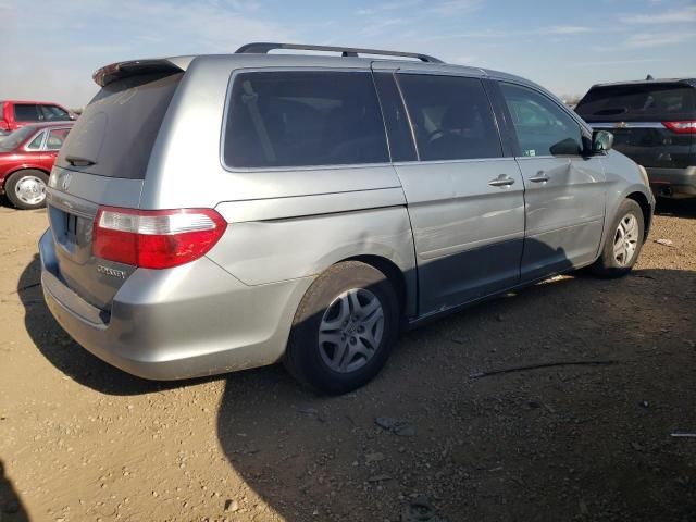 2005 Honda Odyssey EXL