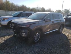 Salvage cars for sale at Memphis, TN auction: 2019 Hyundai Santa FE SE