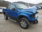 2009 Ford F150