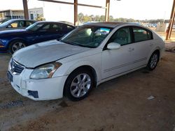 Nissan Maxima SE salvage cars for sale: 2007 Nissan Maxima SE