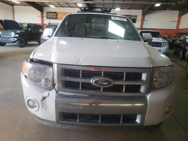 2011 Ford Escape Limited