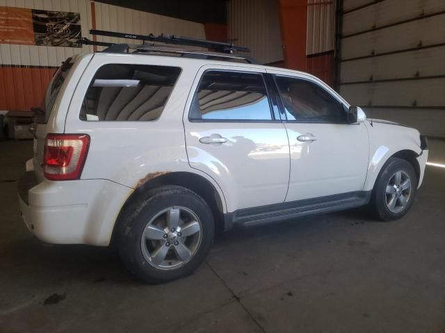 2011 Ford Escape Limited