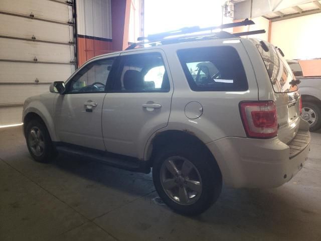 2011 Ford Escape Limited