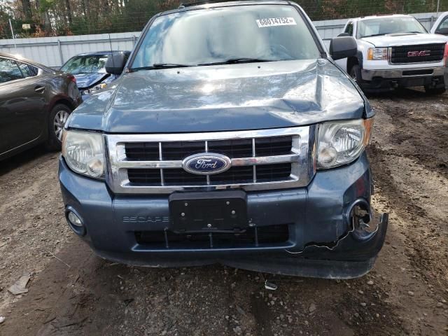 2010 Ford Escape XLT