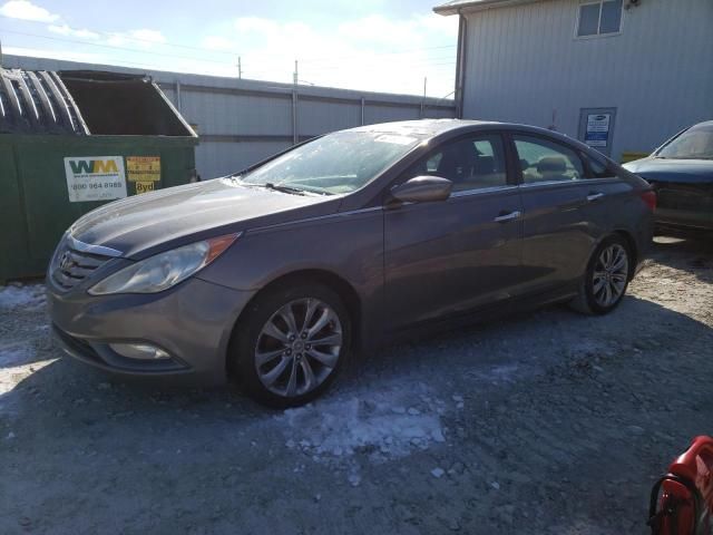 2011 Hyundai Sonata SE