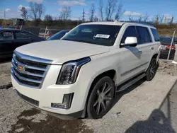 Salvage cars for sale at Bridgeton, MO auction: 2015 Cadillac Escalade Luxury