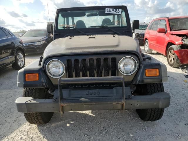 2002 Jeep Wrangler / TJ X