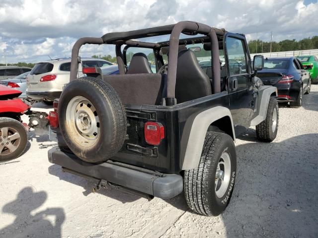 2002 Jeep Wrangler / TJ X