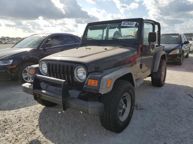 2002 Jeep Wrangler / TJ X