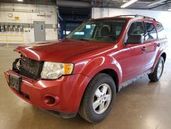 Ford salvage cars for sale: 2009 Ford Escape XLT