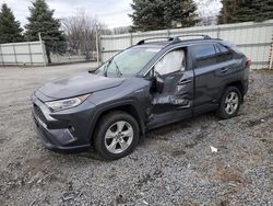 Salvage cars for sale from Copart Albany, NY: 2019 Toyota Rav4 XLE