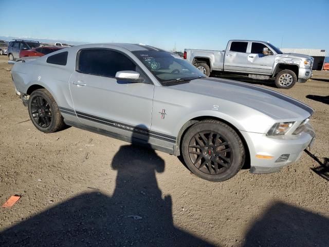 2010 Ford Mustang