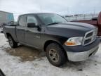 2010 Dodge RAM 1500