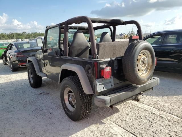 2002 Jeep Wrangler / TJ X