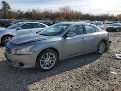 Nissan salvage cars for sale: 2009 Nissan Maxima S