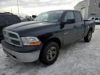 2010 Dodge RAM 1500