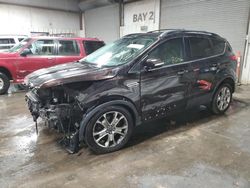 Salvage cars for sale at Elgin, IL auction: 2013 Ford Escape SEL