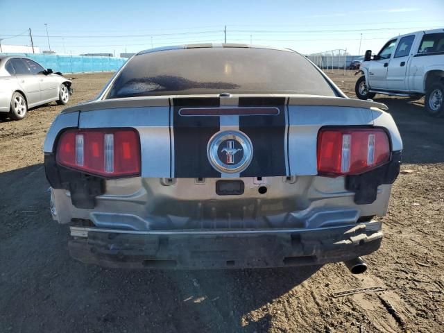 2010 Ford Mustang