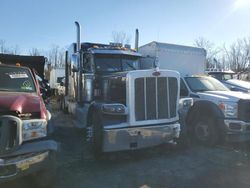 Salvage trucks for sale at Marlboro, NY auction: 2014 Peterbilt 389