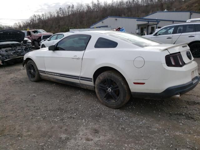 2010 Ford Mustang