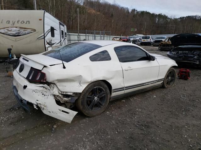 2010 Ford Mustang