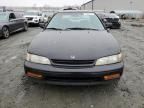 1995 Honda Accord EX