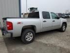 2010 Chevrolet Silverado K1500 LT