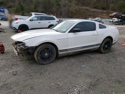 Salvage cars for sale at Hurricane, WV auction: 2010 Ford Mustang