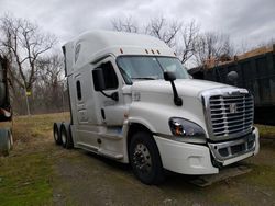 Salvage trucks for sale at Chambersburg, PA auction: 2016 Freightliner Cascadia 125