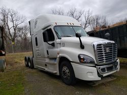 Salvage Trucks for sale at auction: 2016 Freightliner Cascadia 125