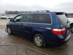 2005 Honda Odyssey EX