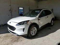 2020 Ford Escape SE en venta en Madisonville, TN