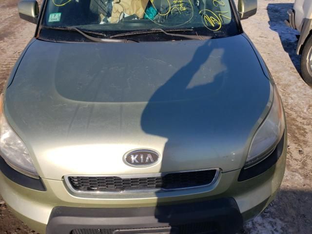 2010 KIA Soul +