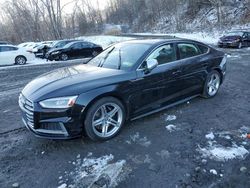 Audi s5/rs5 salvage cars for sale: 2019 Audi S5 Premium