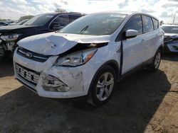 Salvage cars for sale from Copart Riverview, FL: 2014 Ford Escape SE