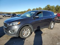 Salvage cars for sale from Copart Brookhaven, NY: 2016 KIA Sorento LX