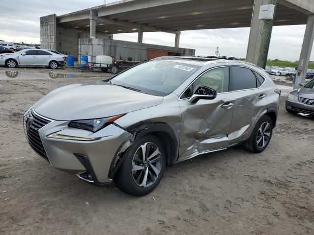 2020 Lexus NX 300H