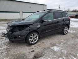 Ford Escape SEL salvage cars for sale: 2013 Ford Escape SEL