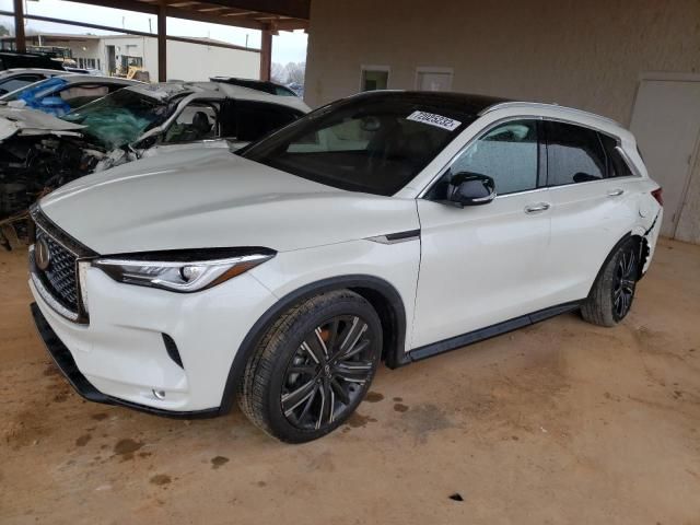 2021 Infiniti QX50 Luxe