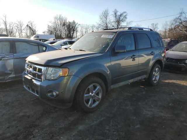 2011 Ford Escape Limited