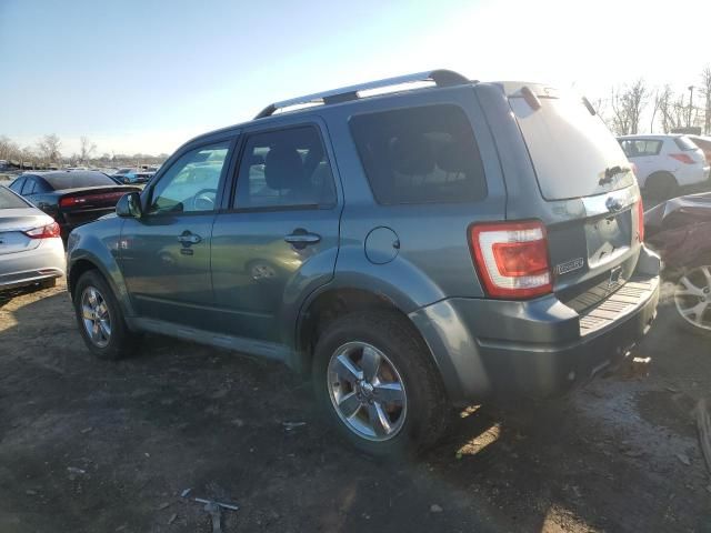 2011 Ford Escape Limited