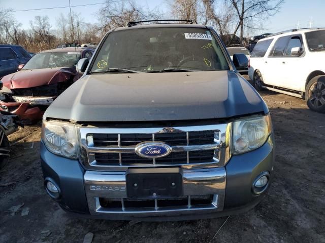 2011 Ford Escape Limited