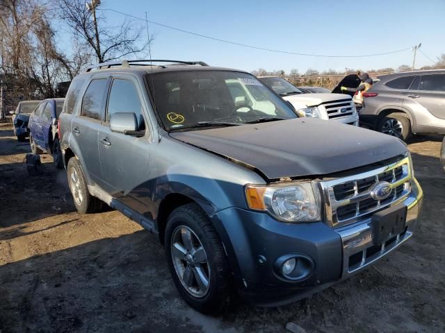 2011 Ford Escape Limited