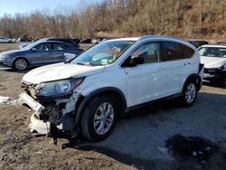 Salvage cars for sale at Marlboro, NY auction: 2014 Honda CR-V EXL