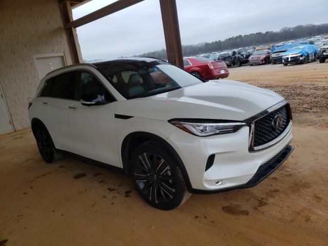 2021 Infiniti QX50 Luxe