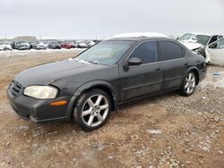 Nissan Vehiculos salvage en venta: 2001 Nissan Maxima GXE