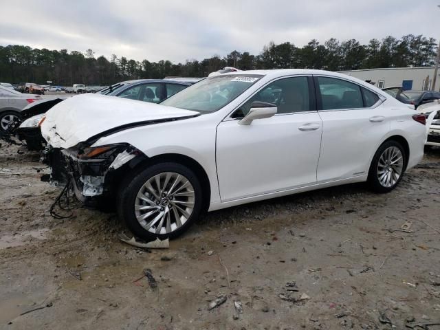 2020 Lexus ES 300H Ultra Luxury