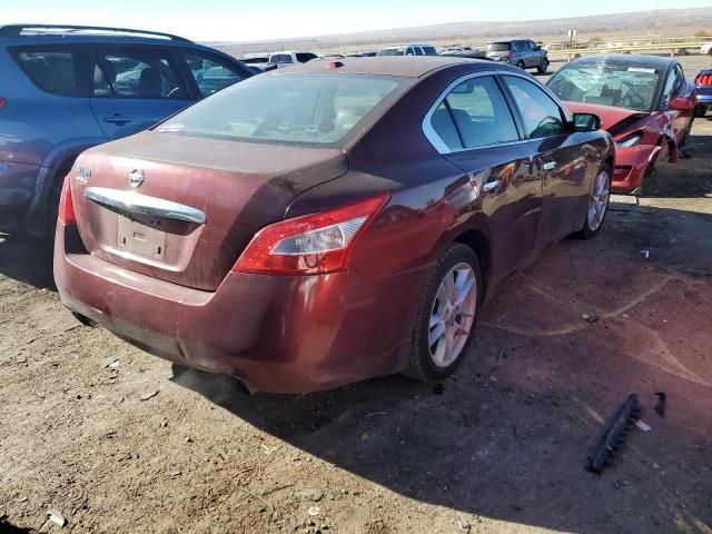 2010 Nissan Maxima S