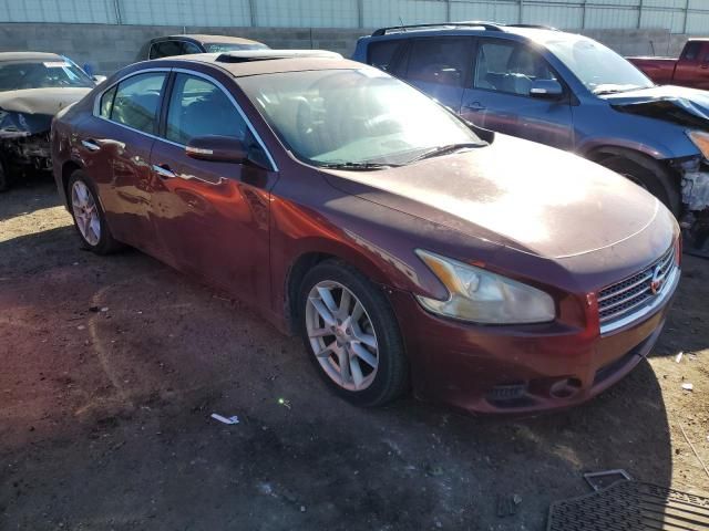 2010 Nissan Maxima S